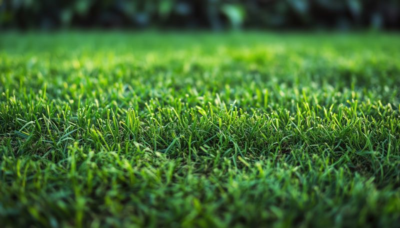 Grass Installation in Aiken, SC