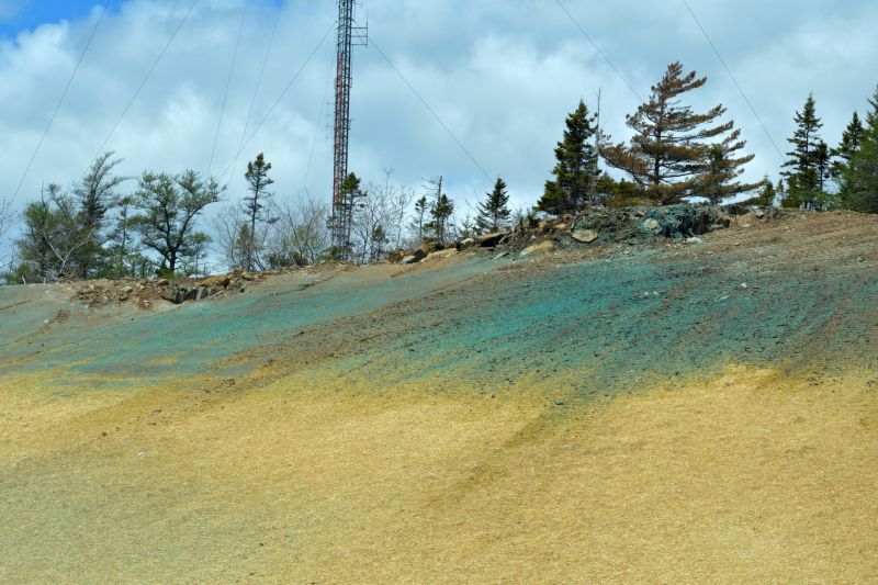 Erosion Control with Hydroseeding