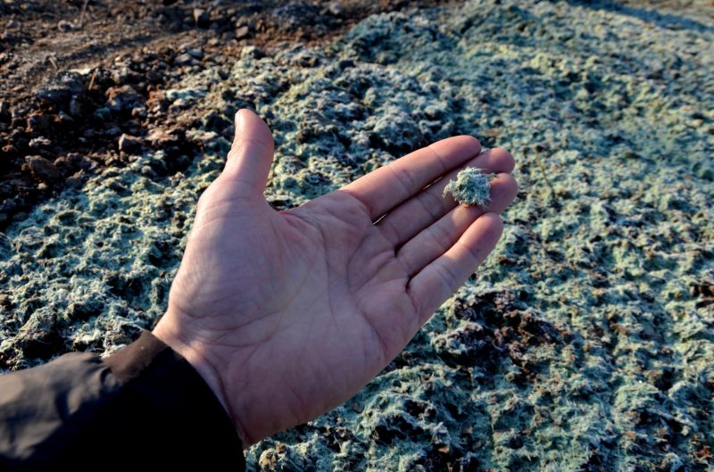 Hydroseeding Service