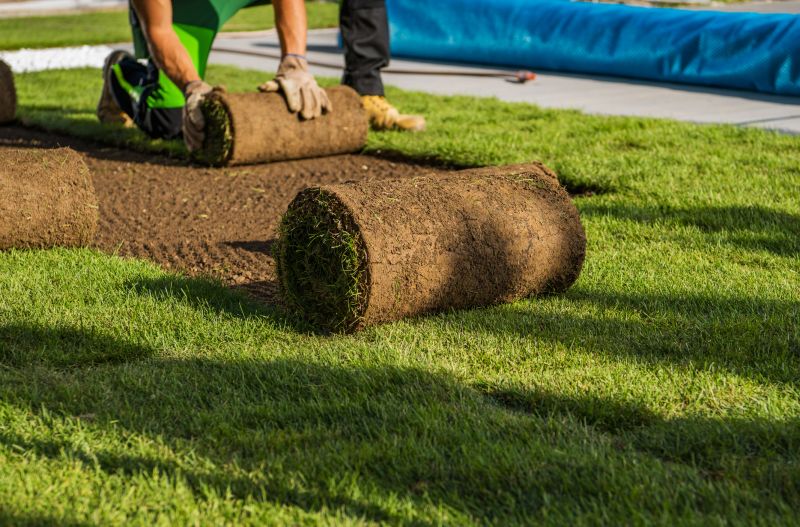 Lawn Sodding in Ventura County, CA