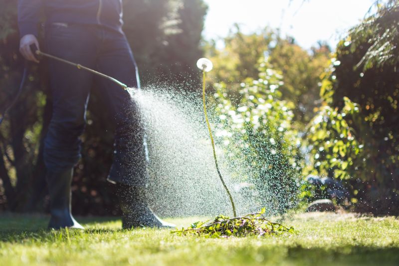 Lawn Weed Control in Honolulu, HI