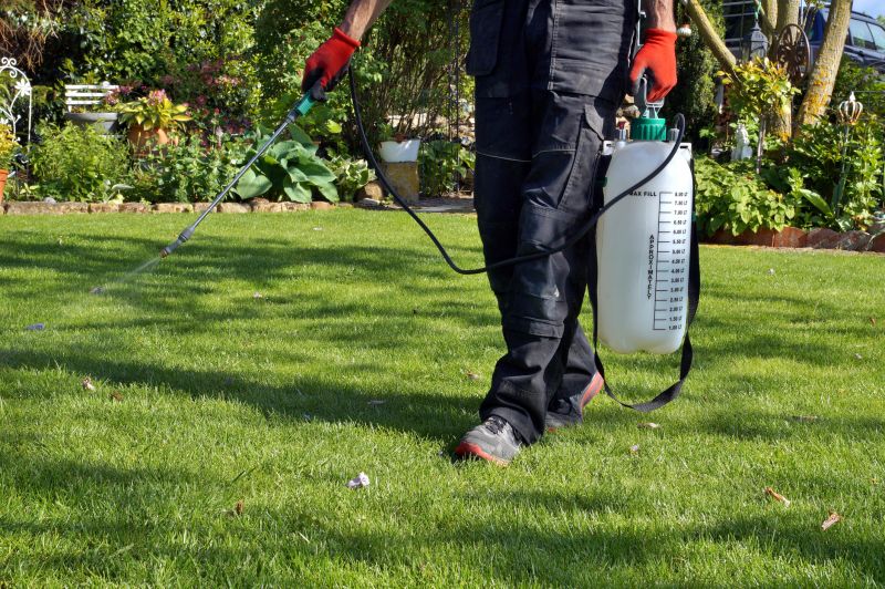 Lawn Weed Treatment in Honolulu, HI