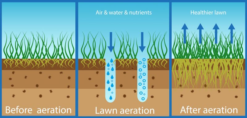 Lawn Preparation Process