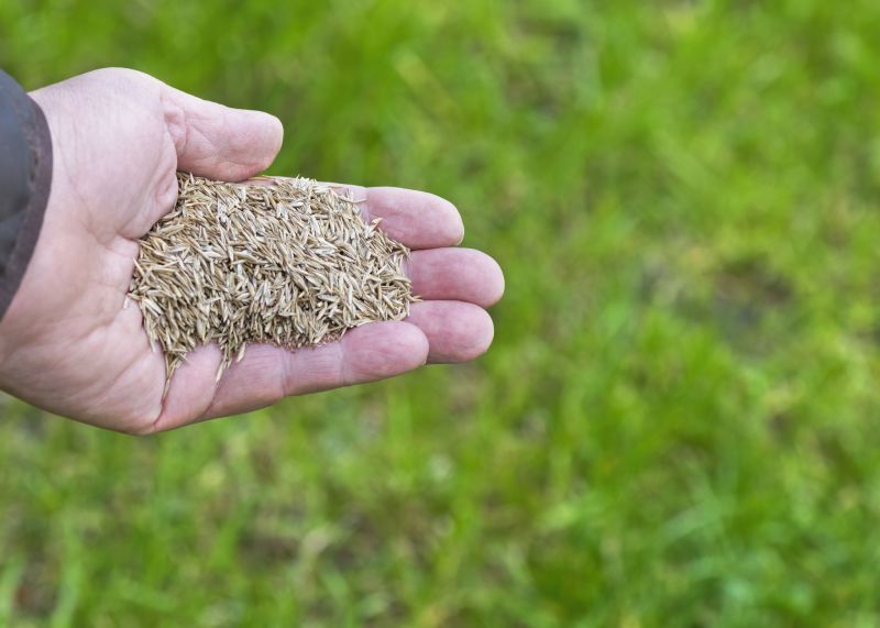 Spring Grass Seeding in Honolulu, HI