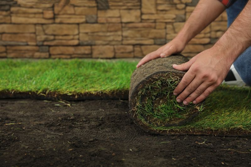 Turfing Service in Rockwall, TX