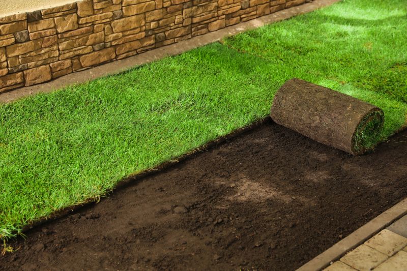 Zoysia Grass Installation in Honolulu, HI