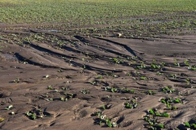 Improve Soil Erosion!
