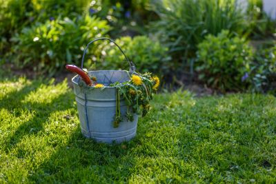 Reduce Weed Growth!