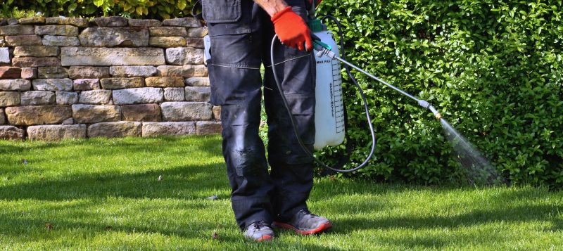 Lawn Herbicide Treatment in Ventura County, CA