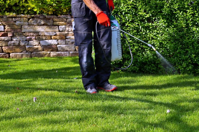 Lawn Weed Spraying in Ventura County, CA