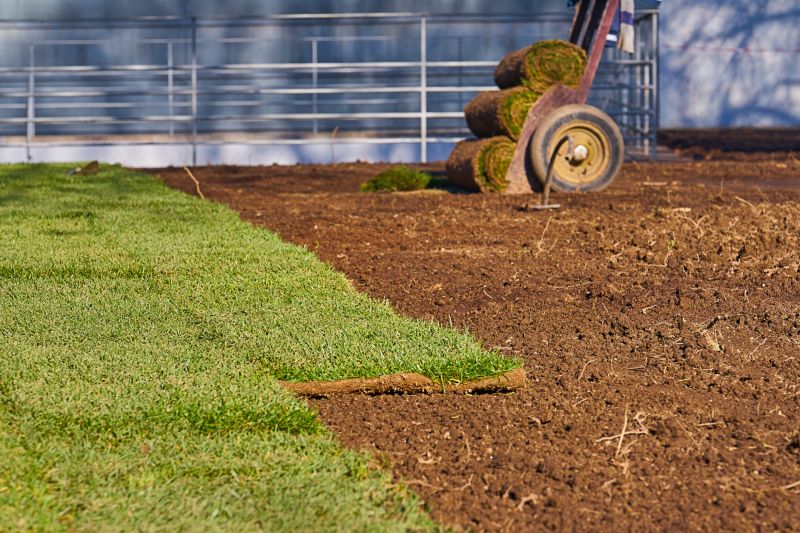 Sod Installation in Honolulu, HI